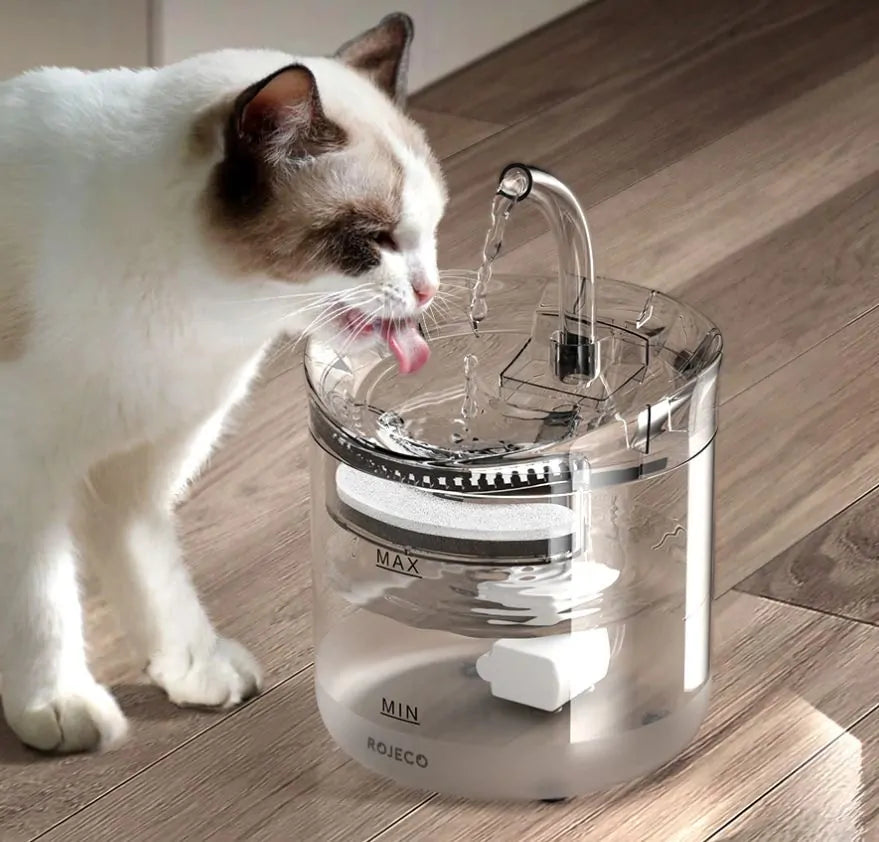 Cat Water Fountain